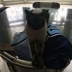 Matt Marini - @marini_matt - Instagram