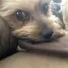 Matt Marini - @matt.marini907 - TikTok
