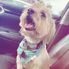 Matt Marrapodi - @matt.marrapodi - TikTok