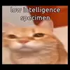mattmarti8 - @mattmarti8 - TikTok
