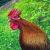 Matt Matheson - Facebook