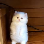 Matt Mathis - @hussi1245 - Instagram