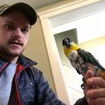 Matt Maynard - @mattmaynard - Instagram