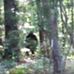 Matt Mcarthur - Facebook