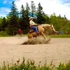 Matt McArthur - @matt_mcarthur40056 - TikTok