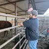 matthewmcauliffe7 - @matthewmcauliffe7 - TikTok