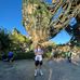 Matt McCarron - Facebook