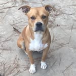 Matt_mcclanahan - @matt_mcclanahan5185 - Instagram