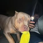 Matthew Mcclanahan - @matt_m1107 - Instagram