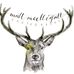 Matt Mcelligott Photography - Facebook