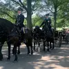 Matthew McFarlane02_Officer - @matthewmcfarlane02 - TikTok