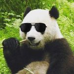 Matt McGraw - @spursalicious - Instagram