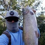 Matt McIntosh - @califishn - Instagram