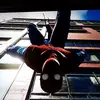 matthewmcintosh - @matthewmcintosh330 - TikTok