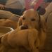Matt Mckinnon - Facebook