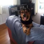 Matthew Mcveigh - Facebook