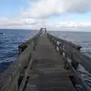 mattmedeiros6 - @mattmedeiros6 - TikTok