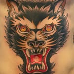Matt Meyer - @volatyll - Instagram