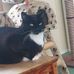 Matt Milburn - Facebook