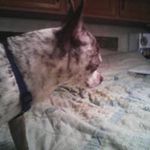 Matt Milburn - @matt.milburn.792 - Instagram