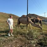 Matthew Moffitt - @mattmoff02 - Instagram