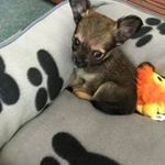 Matt Monaghan - @mmonaghangiggidy - Instagram