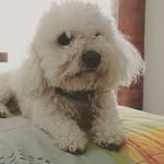 Matt Morales - @matt.morales.585 - Instagram