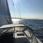 Matt Moreau - @matt_moreau - Instagram