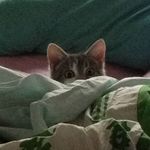 Matt Moreau - @docmoreau324 - Instagram