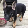mattmorrill967 - @mattmorrill967 - TikTok