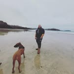 Matt Morrissey - @mjmorrissey9 - Instagram
