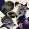 Matthew.Morrissey😫 - @matthew._.morrissey - TikTok