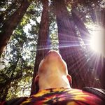 Matt Mosley - @m0sley - Instagram