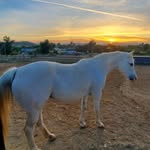 Matt Mozingo - @living4mo - Instagram