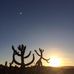 Matthew Mullin - Facebook