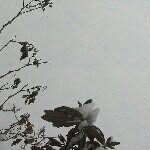 @mattmumma264 - Instagram