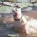 Matt Murphy - Facebook