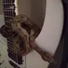 Matt Nagel631 - @mattnagel631 - TikTok