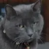 Matt Nagel - @matt.nagel2 - TikTok