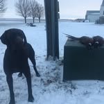 Matt Nagel - @mjnagel1 - Instagram