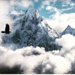 mattnaughton - @mattnaughton14 - Instagram