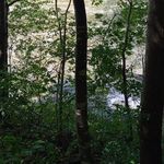 Matt Neubert - @neubert713 - Instagram