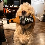 Matt Nice - @iammattnice_ - Instagram