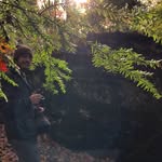 Matt Orsini - @mattorsinii - Instagram