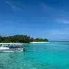 Matteo Orsi - @matteo.orsi37 - TikTok