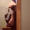 mattorton117 - @mattorton117 - TikTok