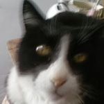 Matt Otis - @otismatt - Instagram