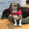 matthewowsleybrow - @matthewowsleybrow - TikTok
