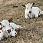 Matt Parham - @2190ranch - Instagram