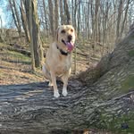 @matt_parrill12 - Instagram
